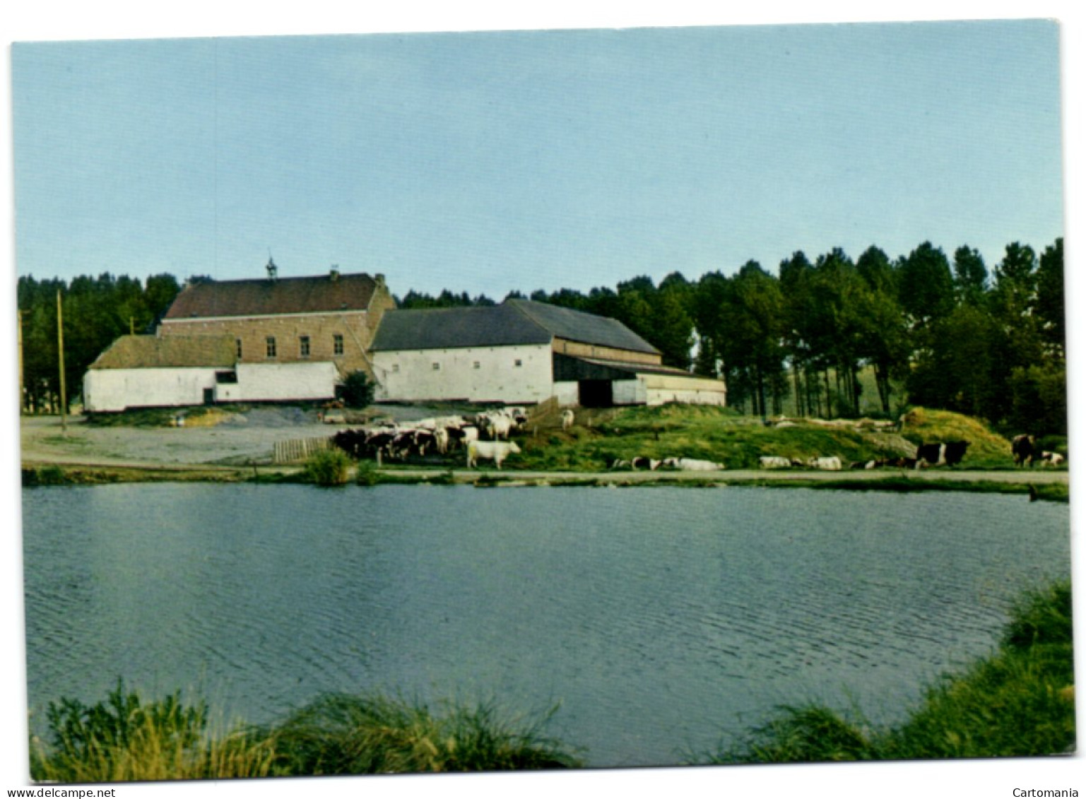 Horrues - Etang De La Ferme De L'Eclatière - Soignies