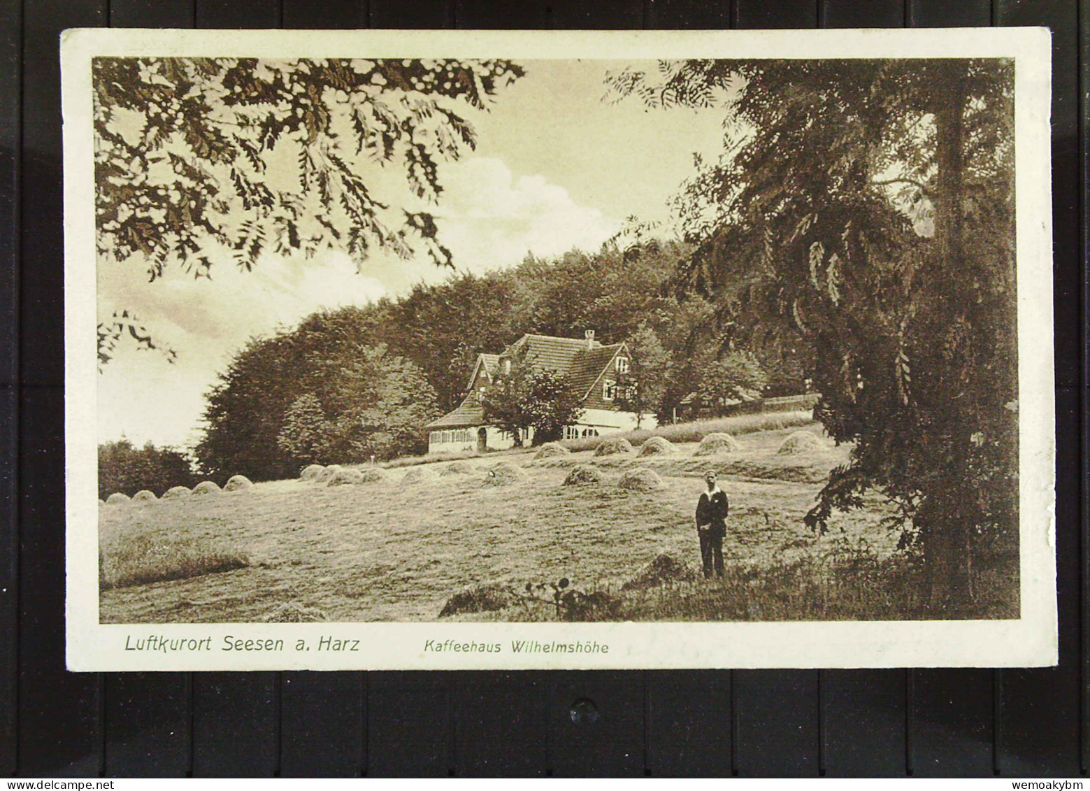 DR: AK Vom Luftkurort Seesen A. Harz Mit Kaffeehaus Wilhelmshöhe Vom 16.08.1926 -BM Abgelöst - Seesen