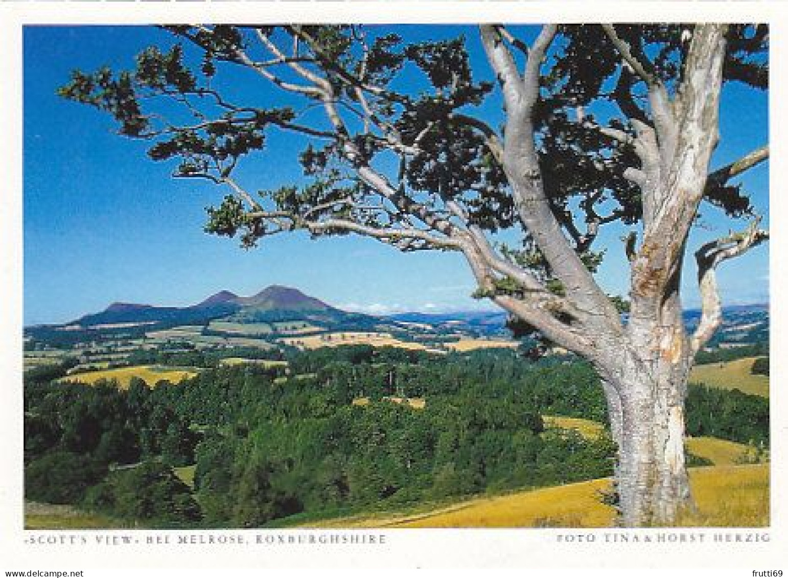 AK 172027 SCOTLAND - Scott's View Bei Melrose - Roxburghshire