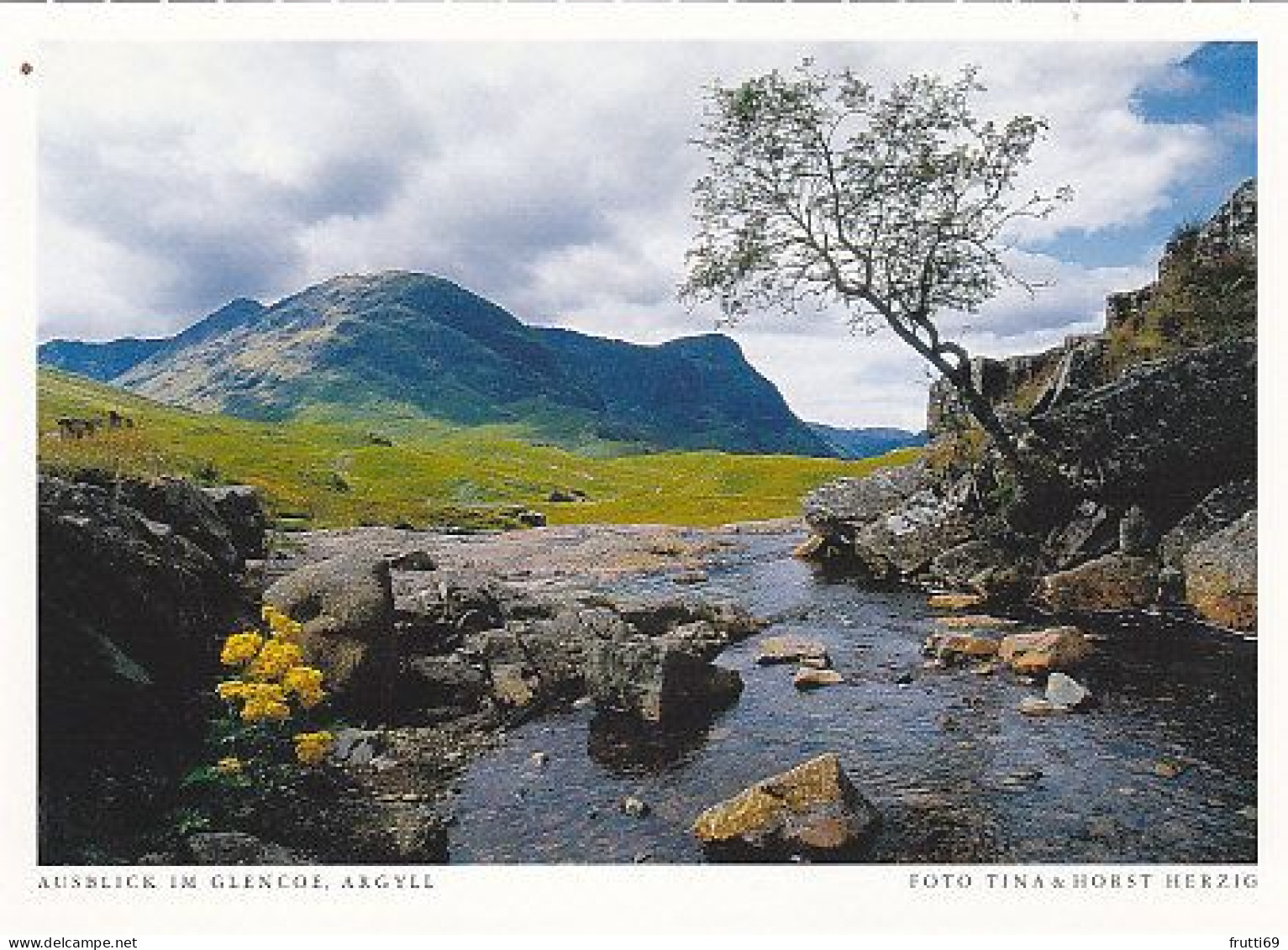 AK 172034 SCOTLAND - Ausblick Im Glencoe - Argyllshire