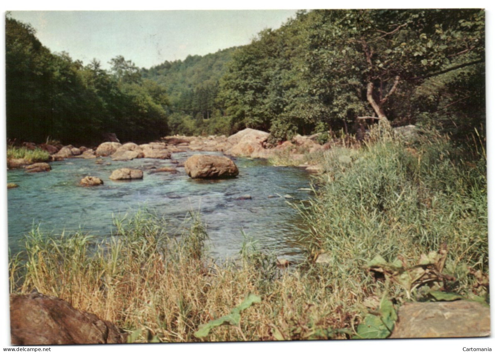 L'Amblève - Rivière La Merveilleuse - Amel