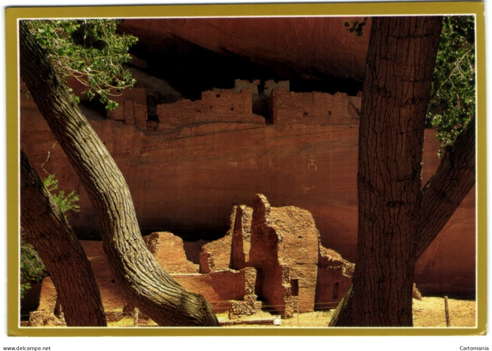Whitehouse Ruin In Canyon De Chelly National Monument - Arizona - Grand Canyon