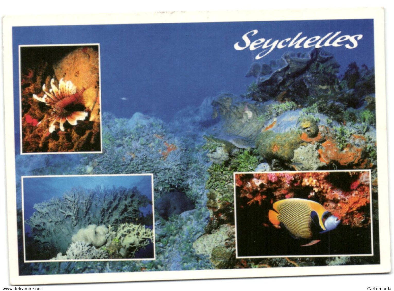 Seychelles - Seychellen