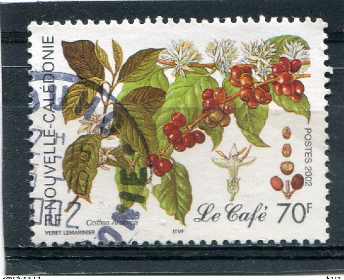 NOUVELLE CALEDONIE  N° 869  (Y&T)  (Oblitéré) - Used Stamps