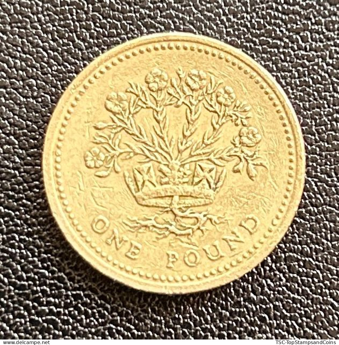 $$GB890 - Queen Elizabeth II - 1 Pound Coin - 3rd Portrait - Northern Irish Flax - Great-Britain - 1991 - 1 Pound