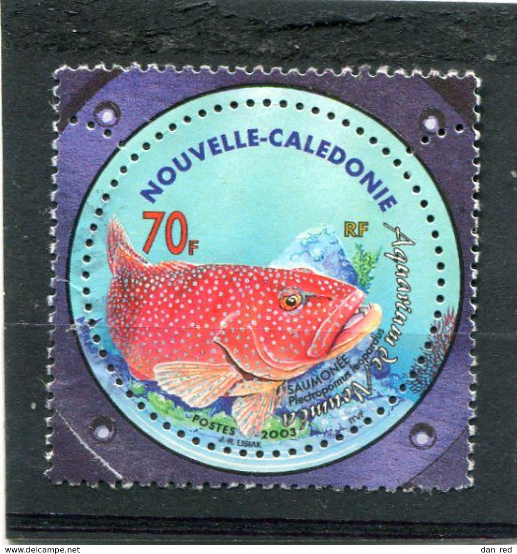 NOUVELLE CALEDONIE  N° 891  (Y&T)  (Oblitéré) - Usati