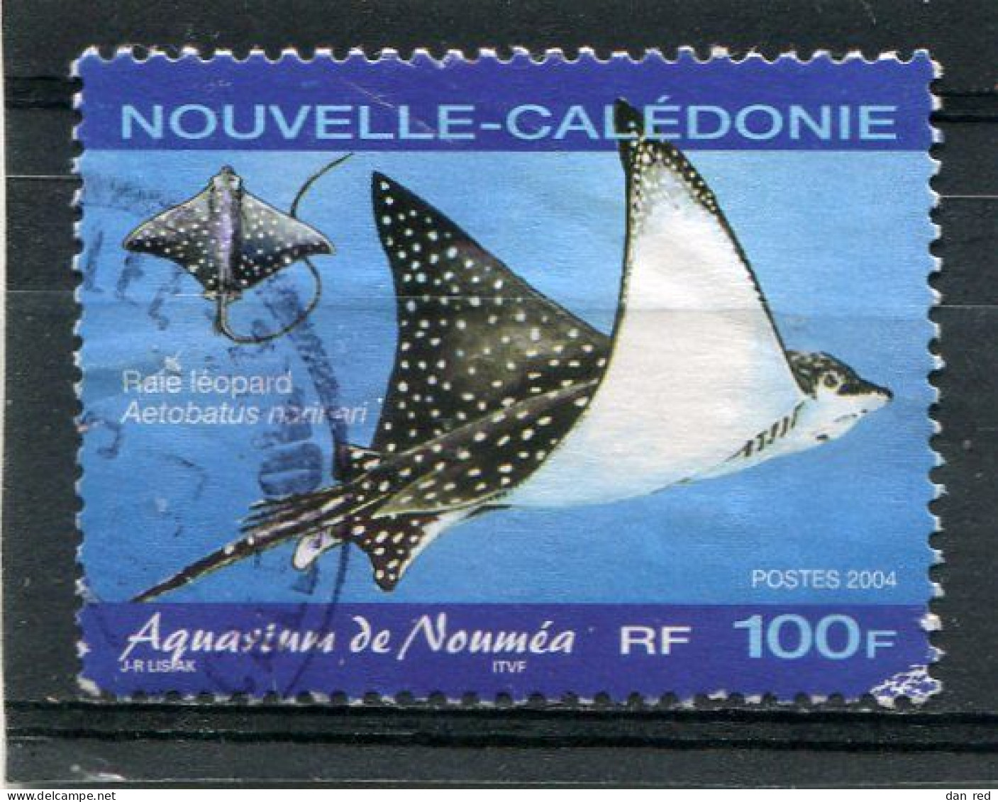 NOUVELLE CALEDONIE  N° 915  (Y&T)  (Oblitéré) - Usati