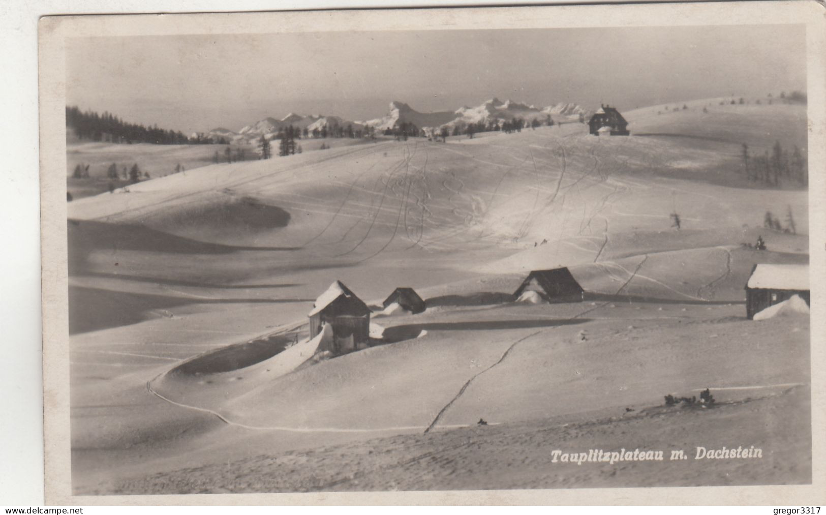 D6273) TAUPLITZ Plateau M. Dachstein - Stark Verschneite Häuser ALT ! !! - Tauplitz