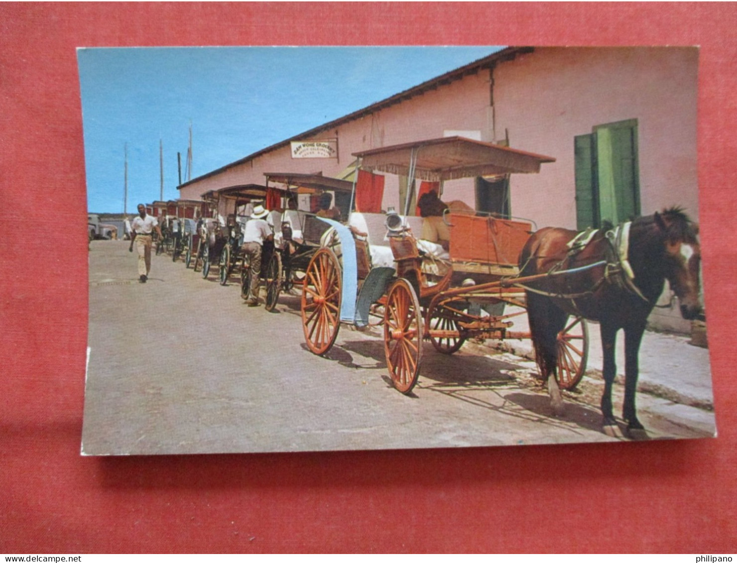 Native Carriages  Nassau In The  Bahamas   Ref 6221 - Bahama's