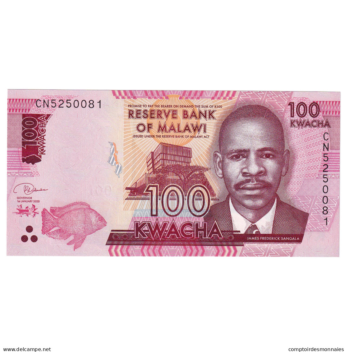 Billet, Malawi, 100 Kwacha, 2020, 2020-01-01, NEUF - Malawi