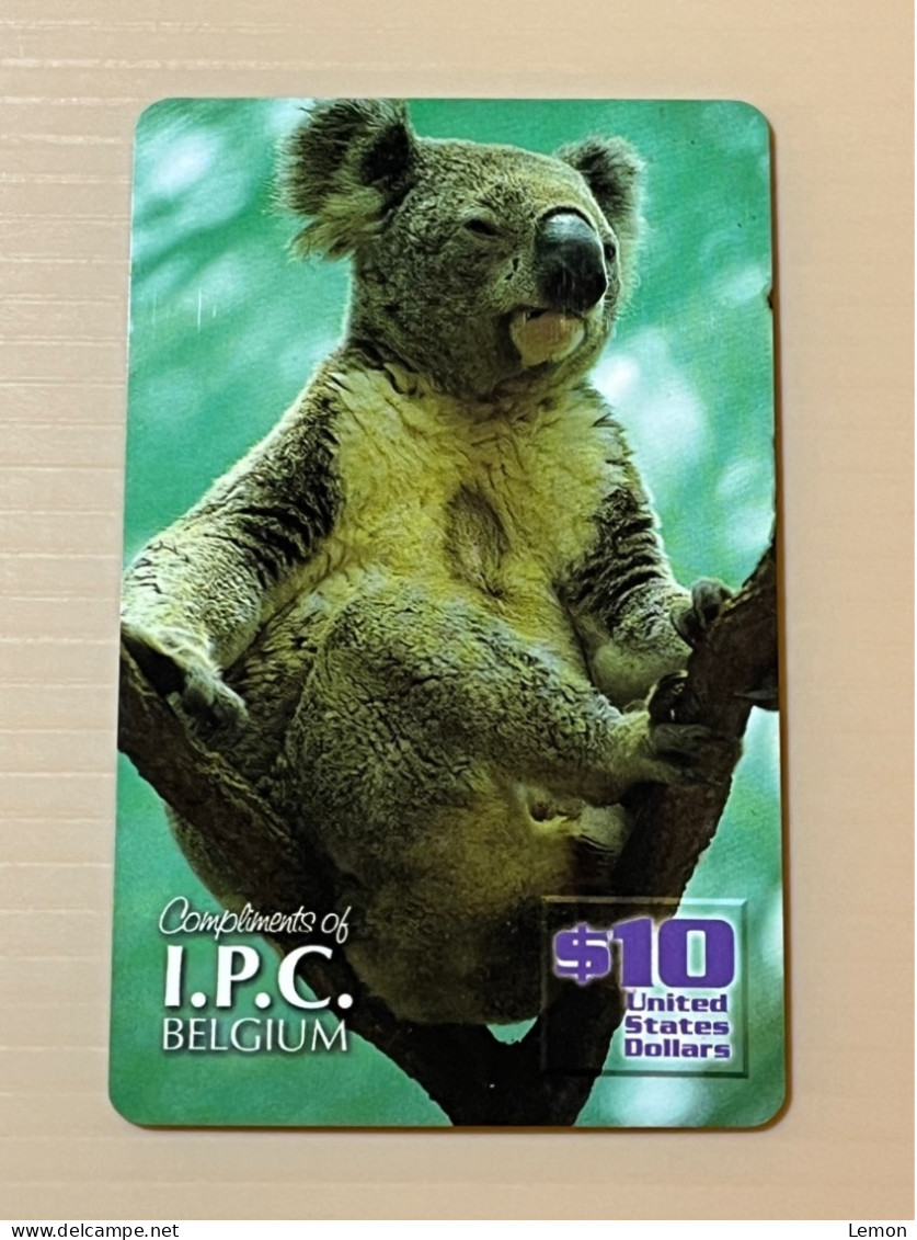 Mint USA UNITED STATES America Prepaid Telecard Phonecard, Compliments Of I.P.C. BELGIUM- Koala Bear, Set Of 1 Mint Card - Sammlungen
