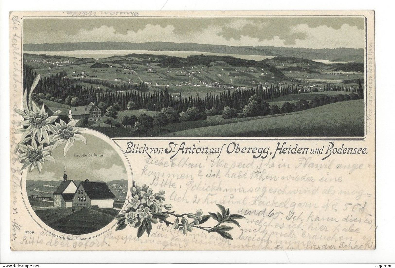 31449 -  Blick St.Anton Auf Oberegg Heiden Und Bodensee 1903 - Oberegg