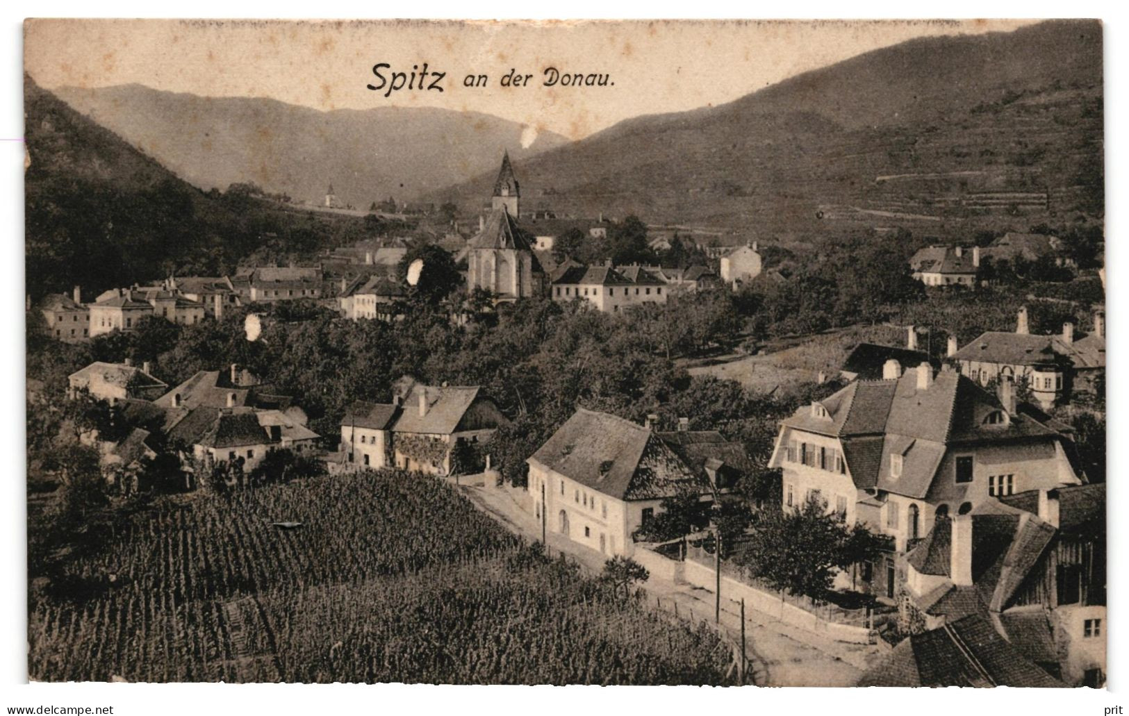 Spitz An Der Donau Wachau Lower-Austria 1912 Unused Postcard. Publisher Phot. U. Verlag Johann Saska, Krems A. D. Donau - Wachau