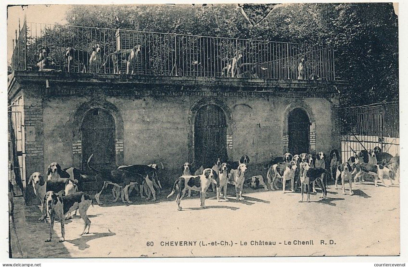 6 CPA - CHEVERNY (Loir Et Cher) - Château De Cheverny - La Meute, La Meute à L'eau, Le Chenil, Le Repas Des Chiens - Cheverny