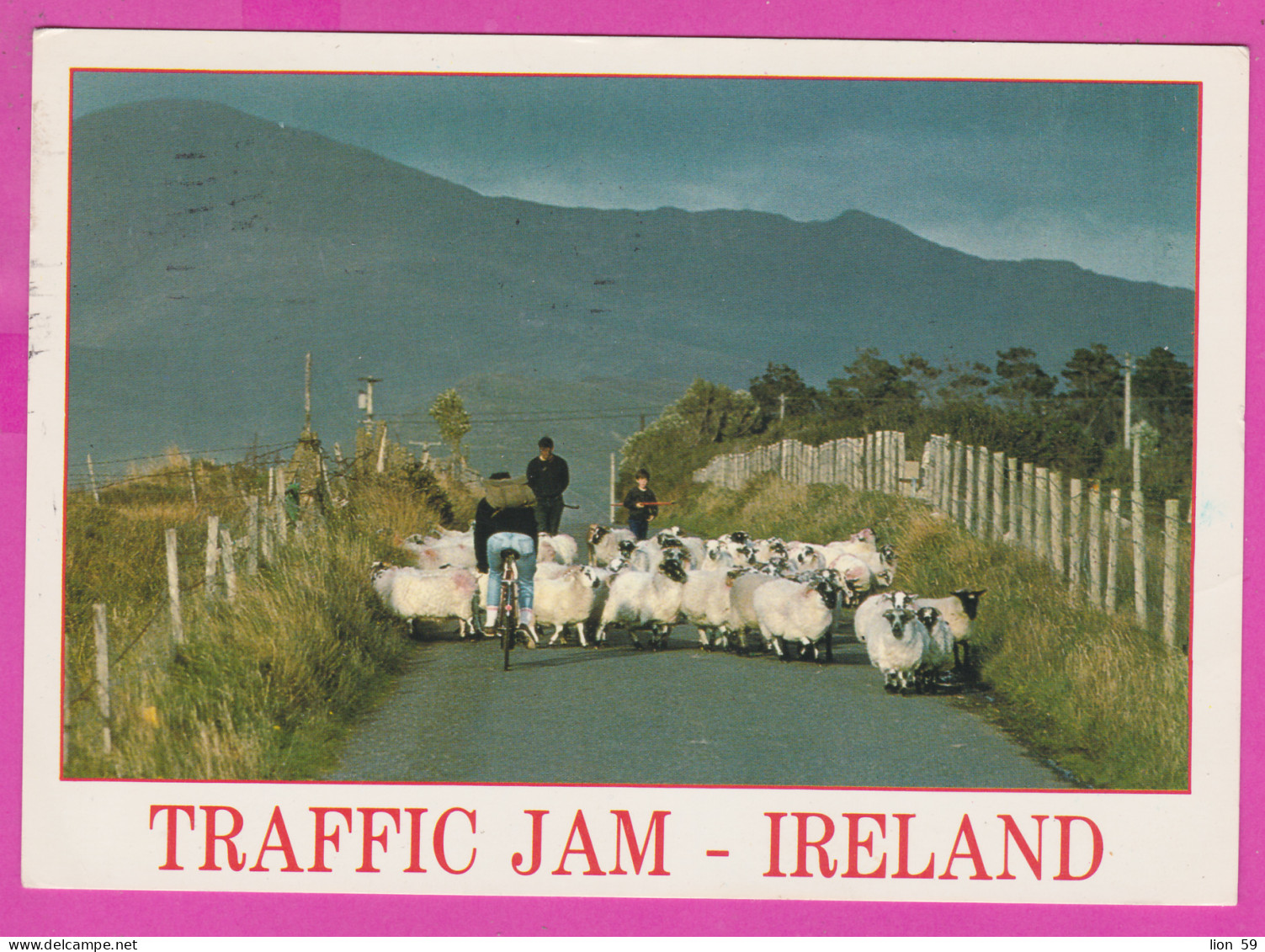 298314 / Traffic Jam - Ireland Eire , Velo Bike , Road Sheep Shepherds PC USED Cill Chainnigh  1991 - 32P Art Treasures - Colecciones Y Lotes