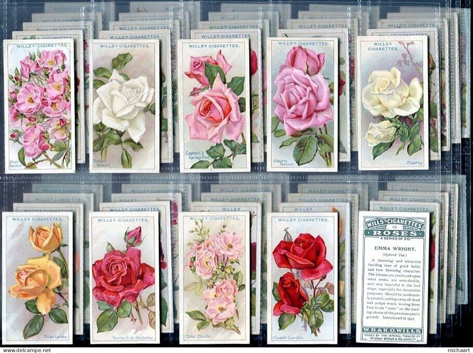 Tobacco Cards Full Set Of 50 Roses Flowers 1926 WD & HO Wills 04350 - Wills