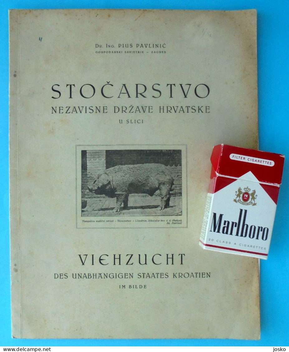 STOČARSTVO NEZAVISNE DRŽAVE HRVATSKE U SLICI Stara NDH Knjiga (1944.) * Croatia WW2 Cattle Breeding Kroatien Croazia - Slawische Sprachen