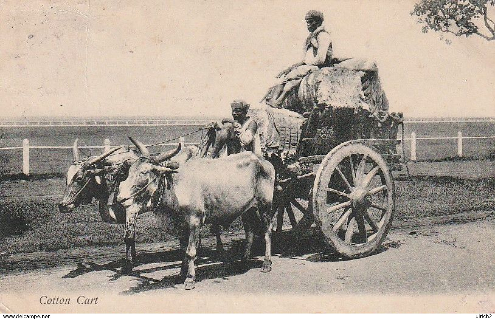 AK India Indien - Cotton Cart - 1908 (65598) - Asia