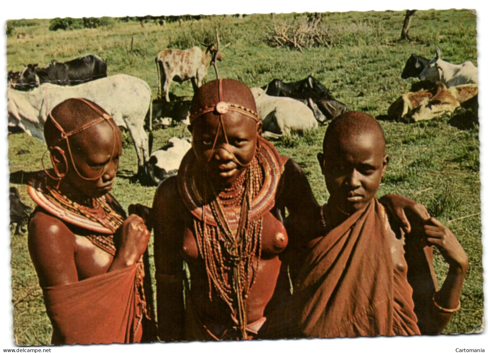 Masai Girls And Woman - Kenya