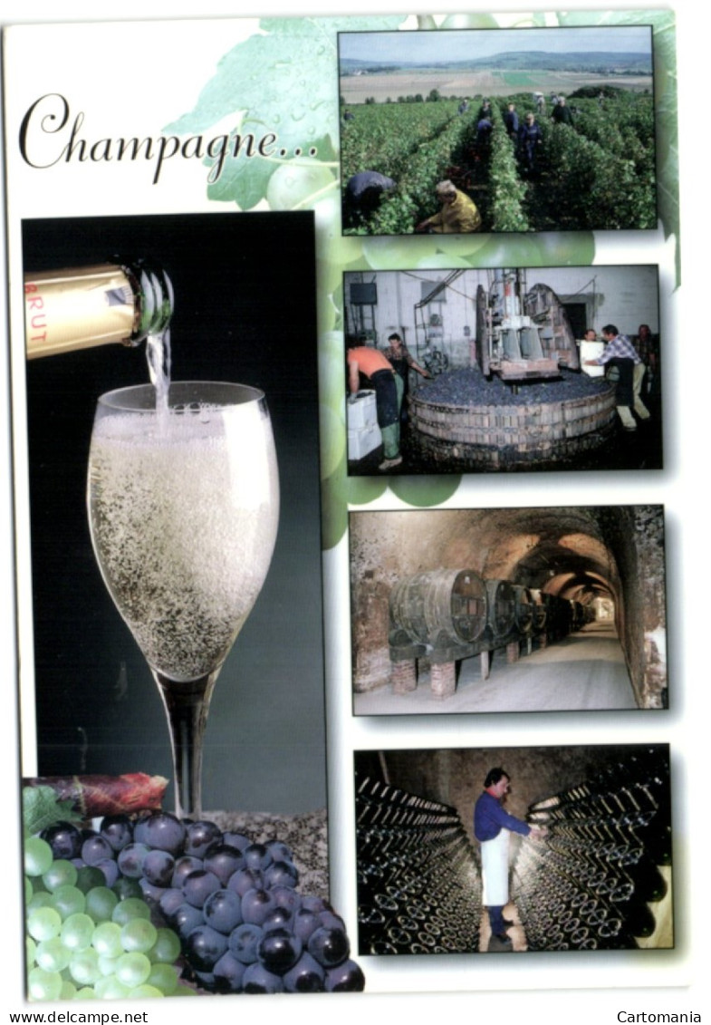 Souvenir De Champagne - Champagne-Ardenne