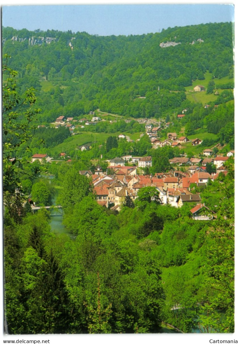 Saint-Hippolyte (Doubs) - Dans Son Nid - Saint Hippolyte