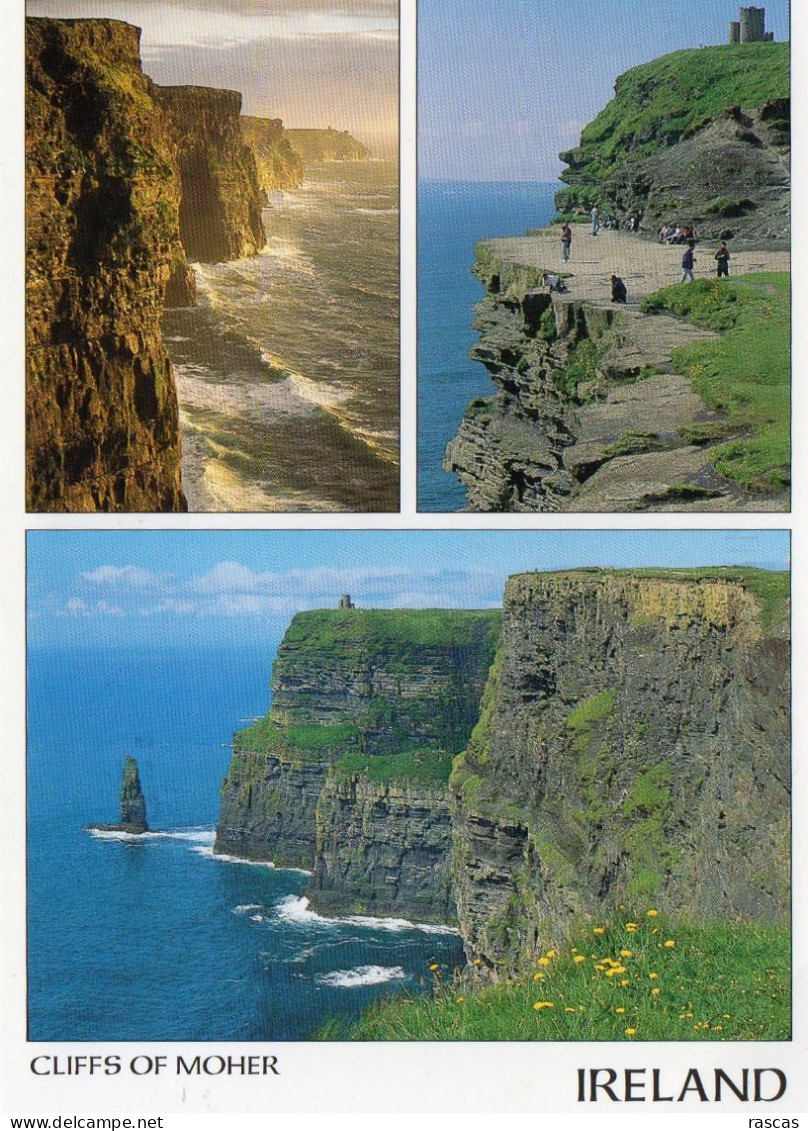 CPM - K - IRLANDE - CLARE - THE MAGNIFICENT CLIFFS OF MOHER - Clare