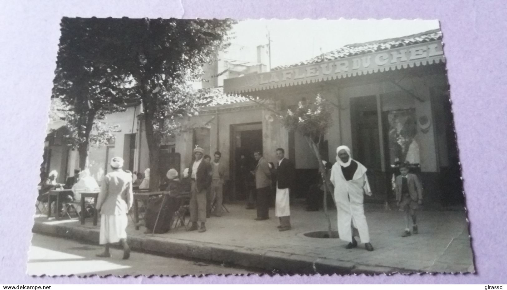 CPSM ORLEANSVILLE CHLEF ALGERIE CAFE MODERNE 1952 LA FLEUR DE CHLEF BELLE ANIMATION - Chlef (Orléansville)