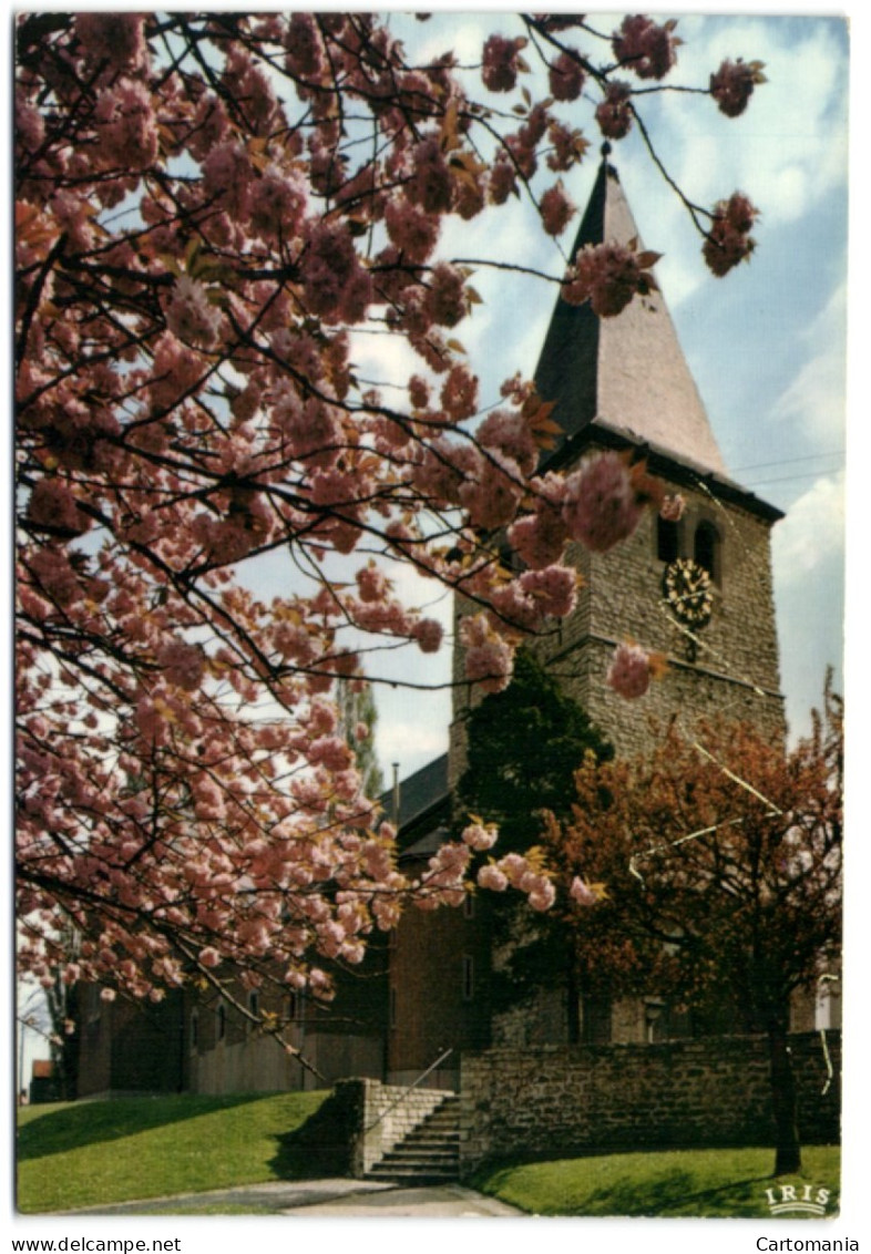 Boitsforts - Eglise St-Clément - Watermaal-Bosvoorde - Watermael-Boitsfort