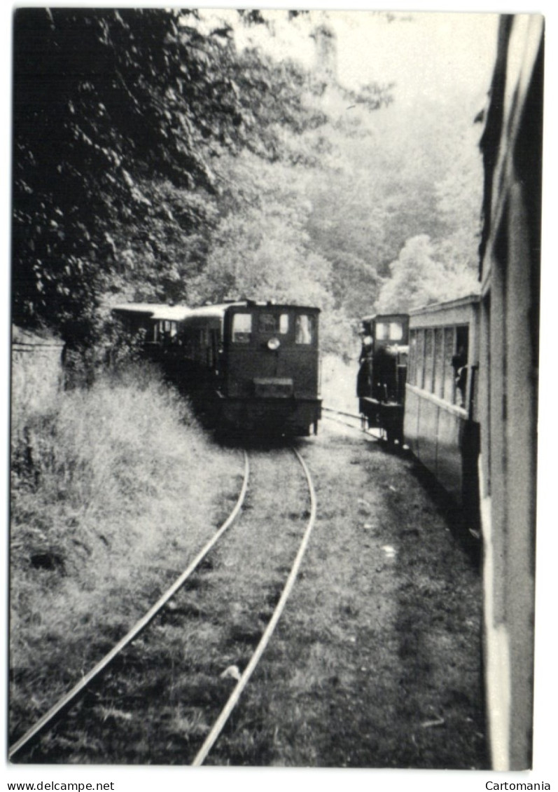 Ancienne Ligne SNCV De Trembleur-Mortroux à Warsage - Dalhem