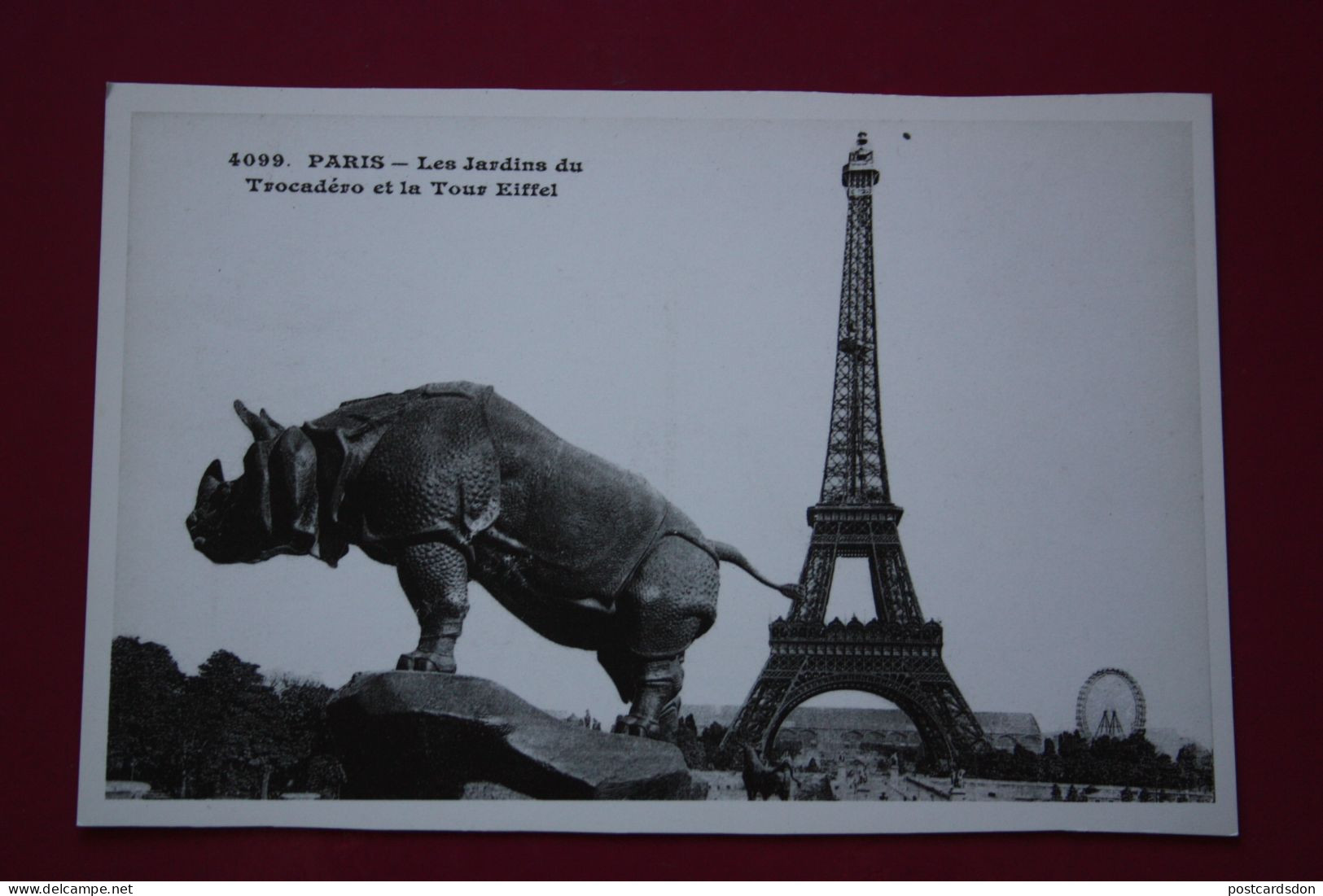 Paris .  Rhino 1989 Postcard - Rhinoceros