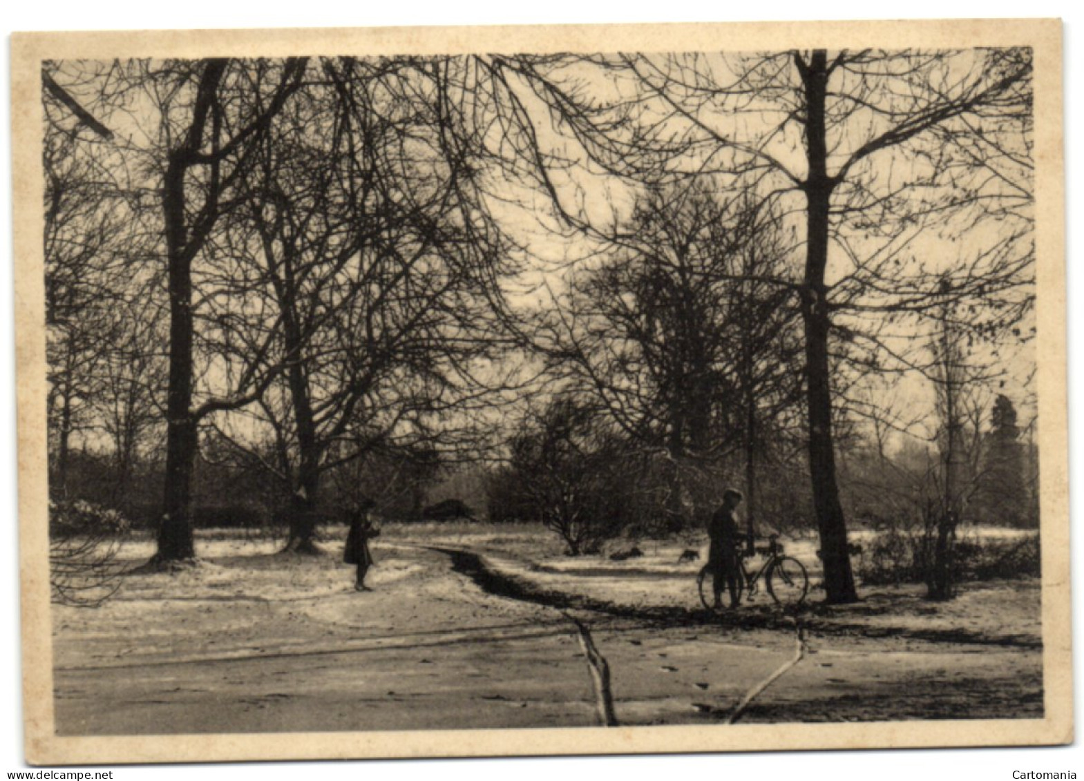 Abdij Cortenberg - Winteraanblik - Kortenberg