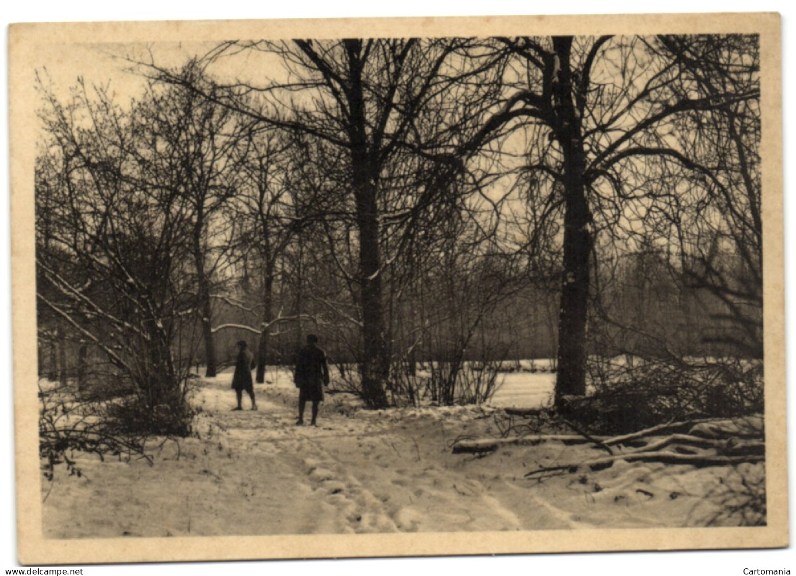 Abdij Cortenberg - Parkaanblik In Den Winter - Kortenberg