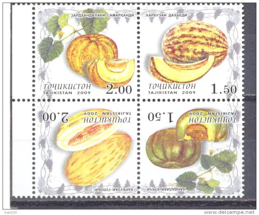 2009. Tajikistan, Melons, 4v In Block, Mint/** - Tadschikistan