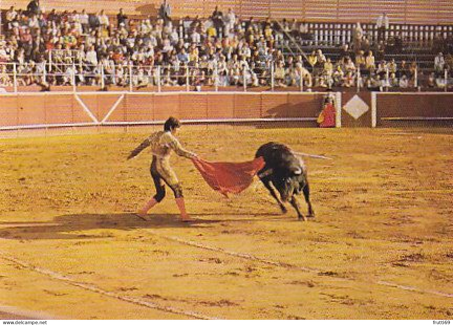 AK 172303 BULL / STIER - Corrida De Toros - Taureaux