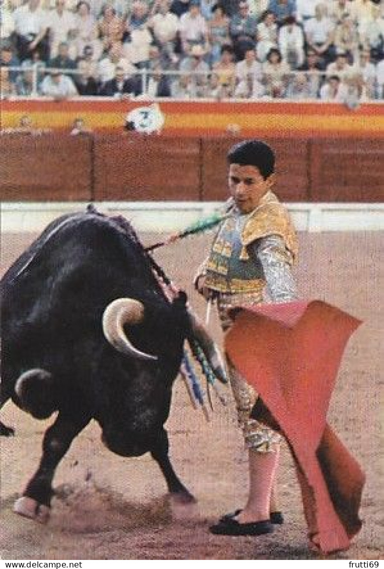 AK 172304 BULL / STIER - Corrida De Toros - Taureaux