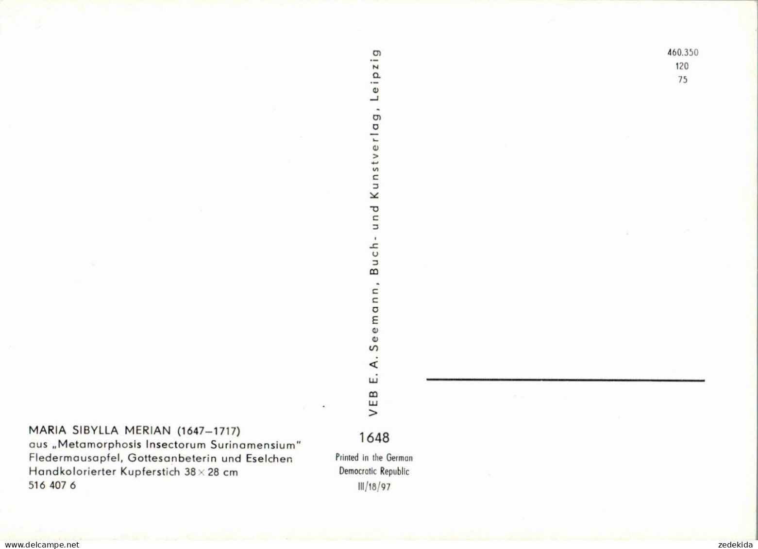 G5786 - TOP Maria Sibylla Merian Künstlerkarte - Nach Handkoloriert Kupferstich - Verlag Seemann DDR - Heilpflanzen