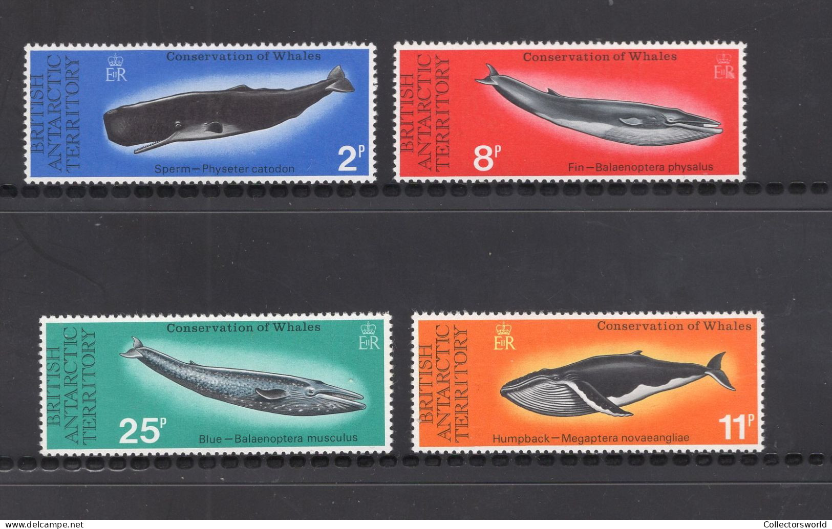 British Antactica Terr BAT Serie 4v Conservation Of Whales - Baleine MNH - Ongebruikt