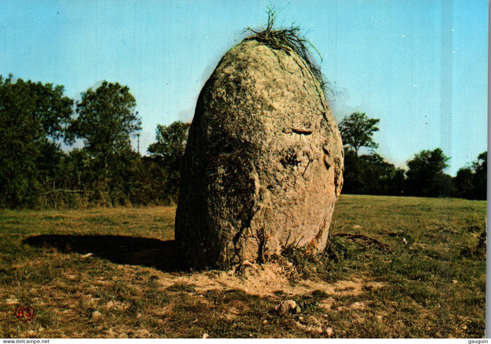 CPM - AVRILLÉ - MENHIR De La Cornetière - Edition Artaud - Dolmen & Menhire