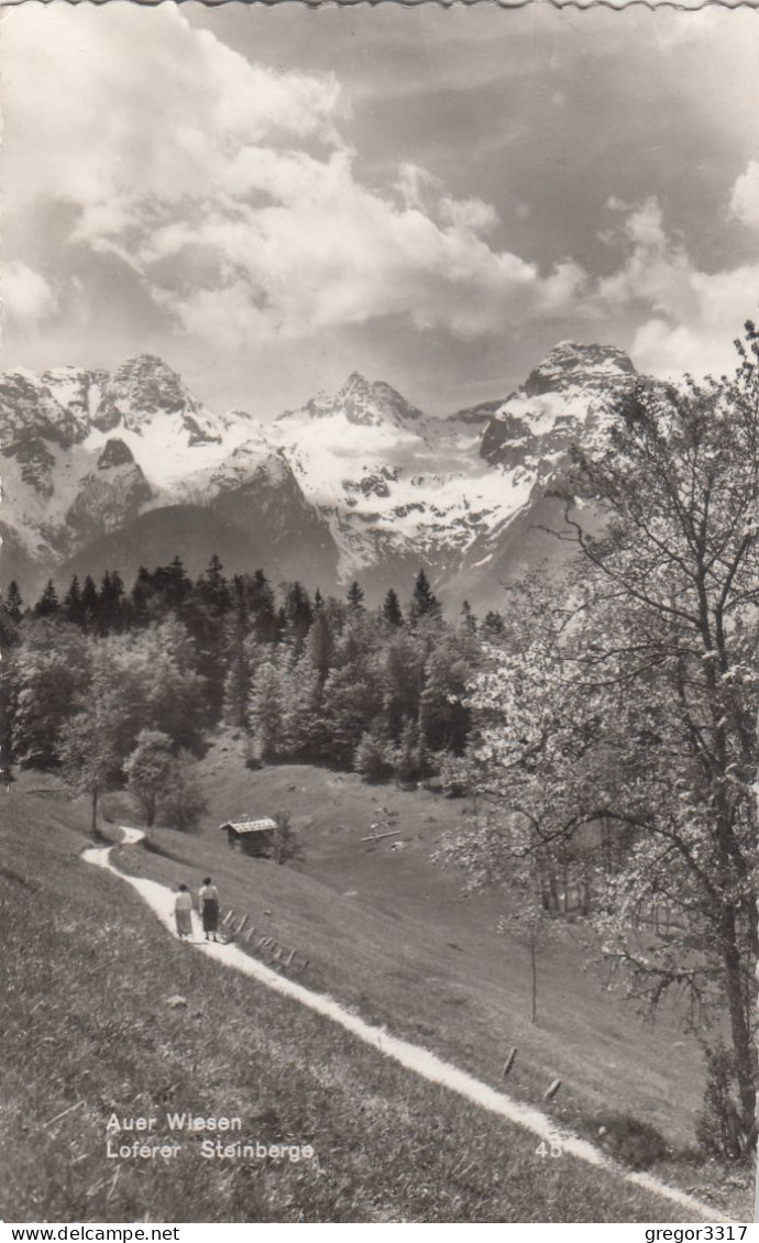 D6372) AUER WIESEN - Loferer Steinberge - Frauen Am Weg U. Hütte Rechts Im Bild - Lofer