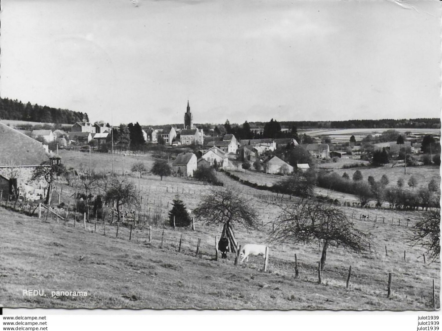 Julot1939 ....  REDU ..-- Panorama . Vers MOUSCRON ( Famille DEINERO ) . Voir Verso . - Libin