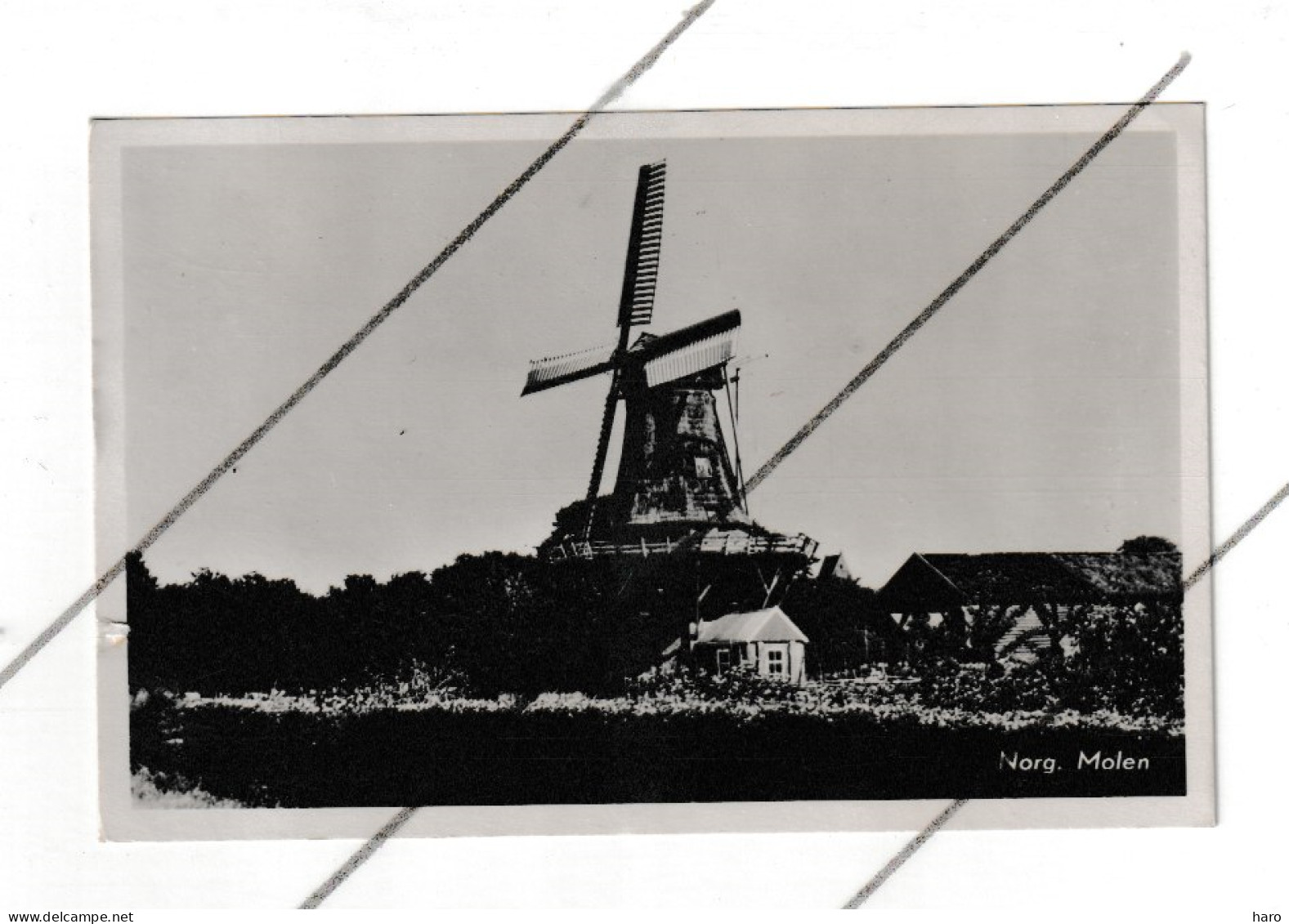 Pays-Bas - NORG - Molen / Moulin   (B358) - Norg