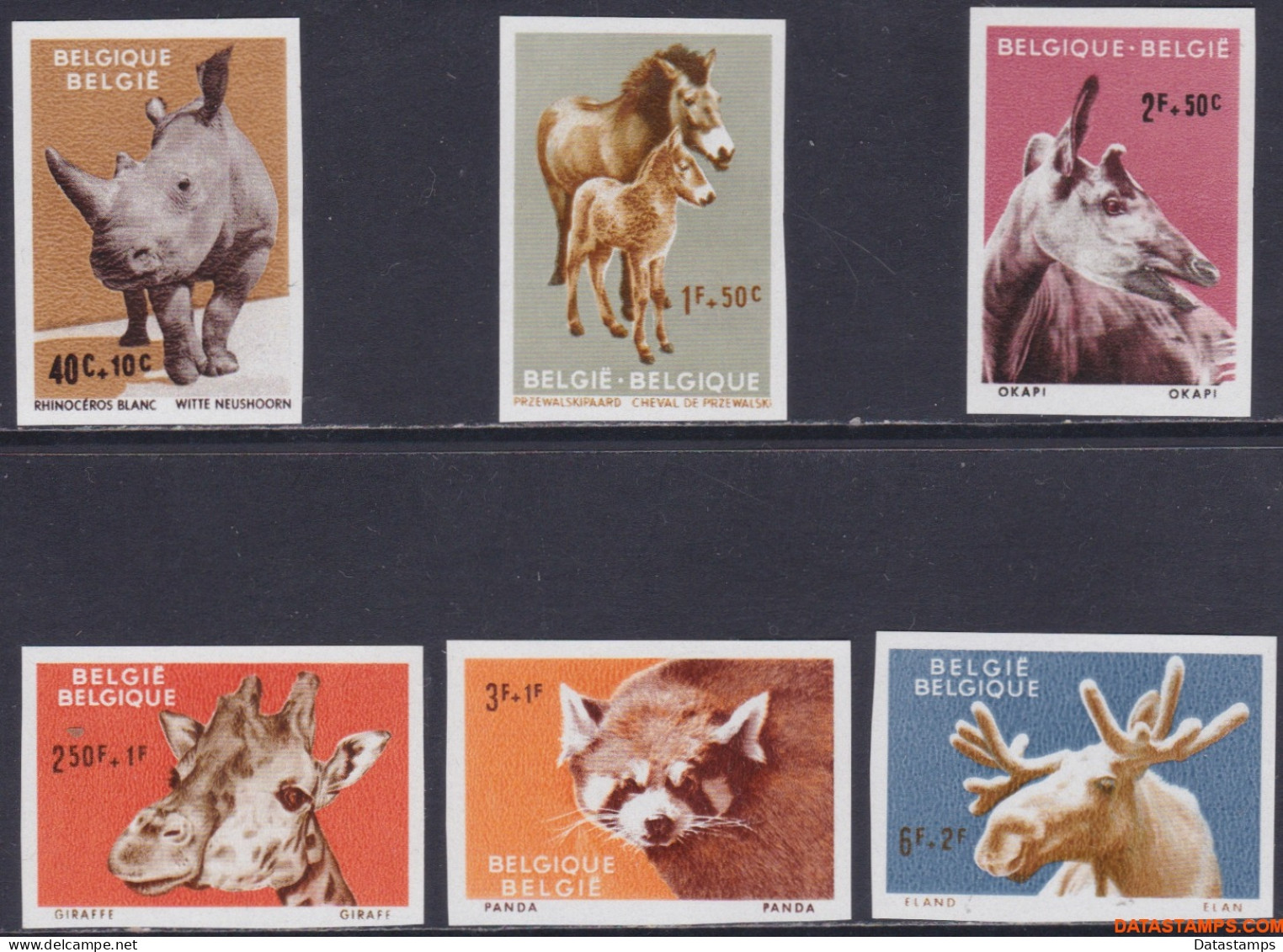 België 1961 - Mi:1242/1247, Yv:1182/1187, OBP:1182/1187, Stamp - □ - Zoo Of Antwerp I Animals - 1961-1980