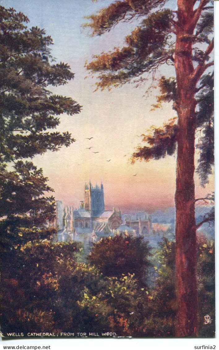 TUCKS OILETTE - 7141 - WELLS - CATHEDRAL FROM TOR HILL WOOD - Wells