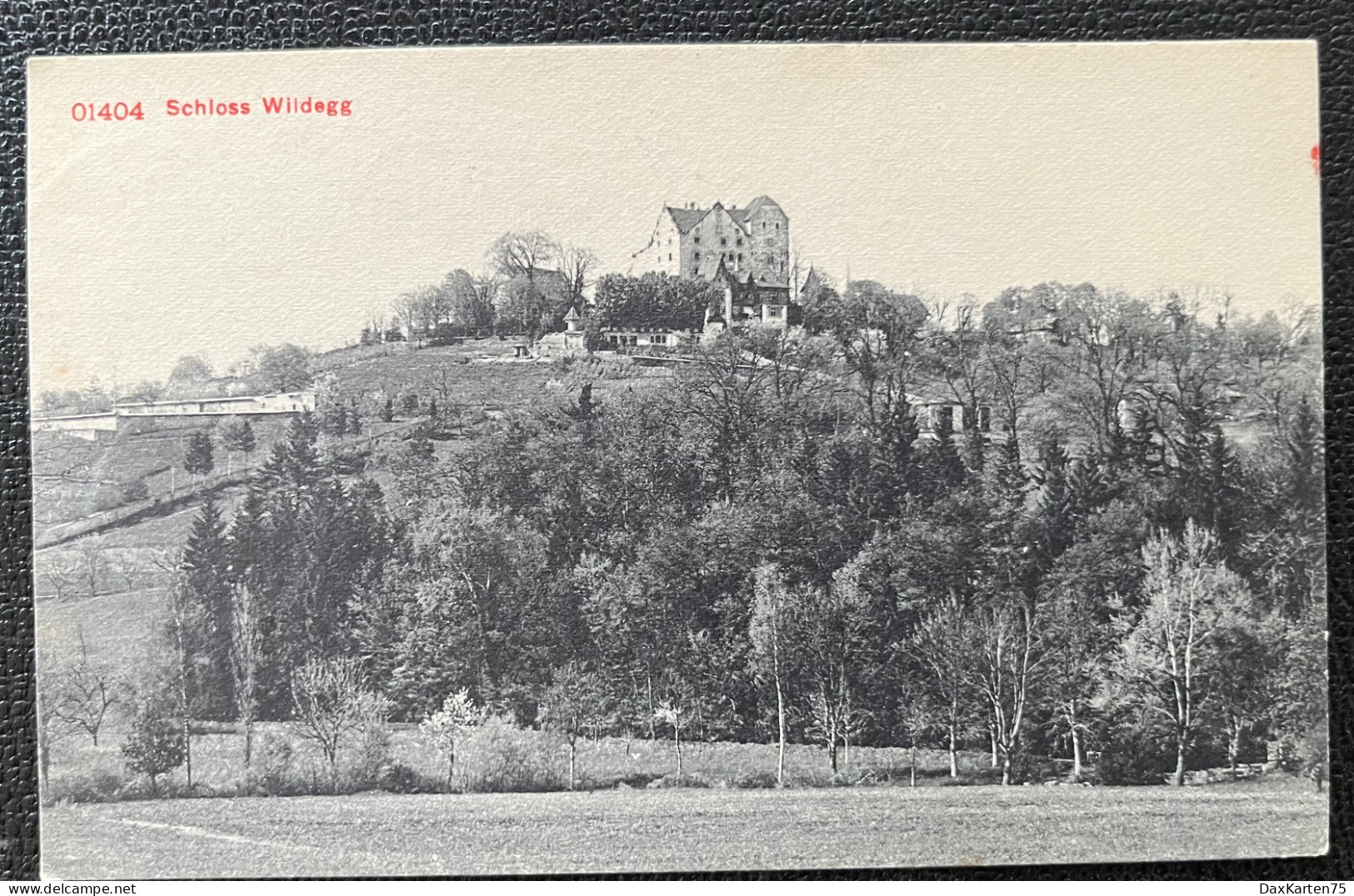 Schloss Wildegg/ 1906 - Wildegg