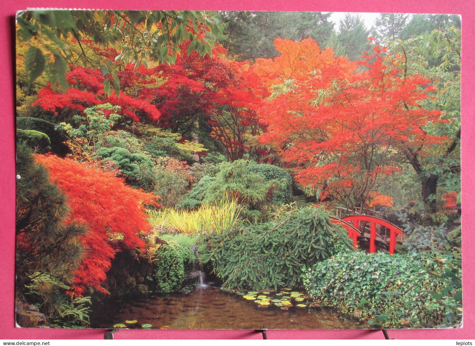 Canada - Victoria - Fall Colours In The Japanese Garden - Victoria