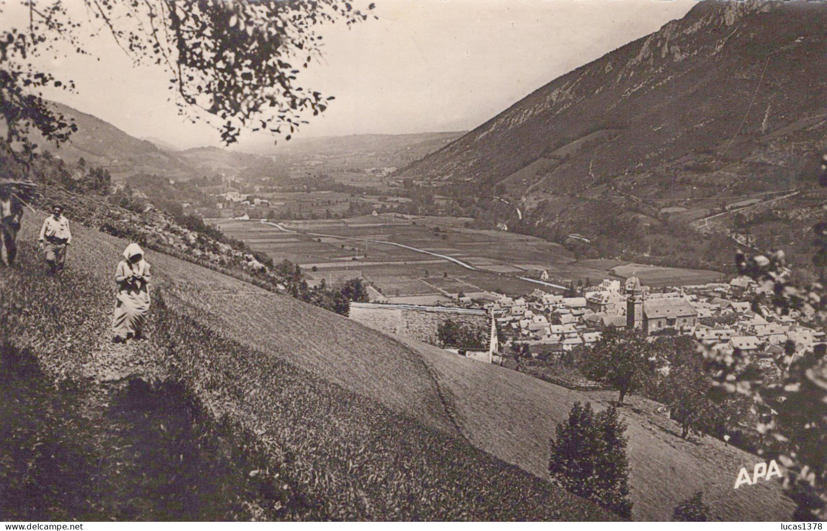 65 / CAMPAN / VUE PANORAMIQUE / ANIMEE / CPSM 1958 - Campan