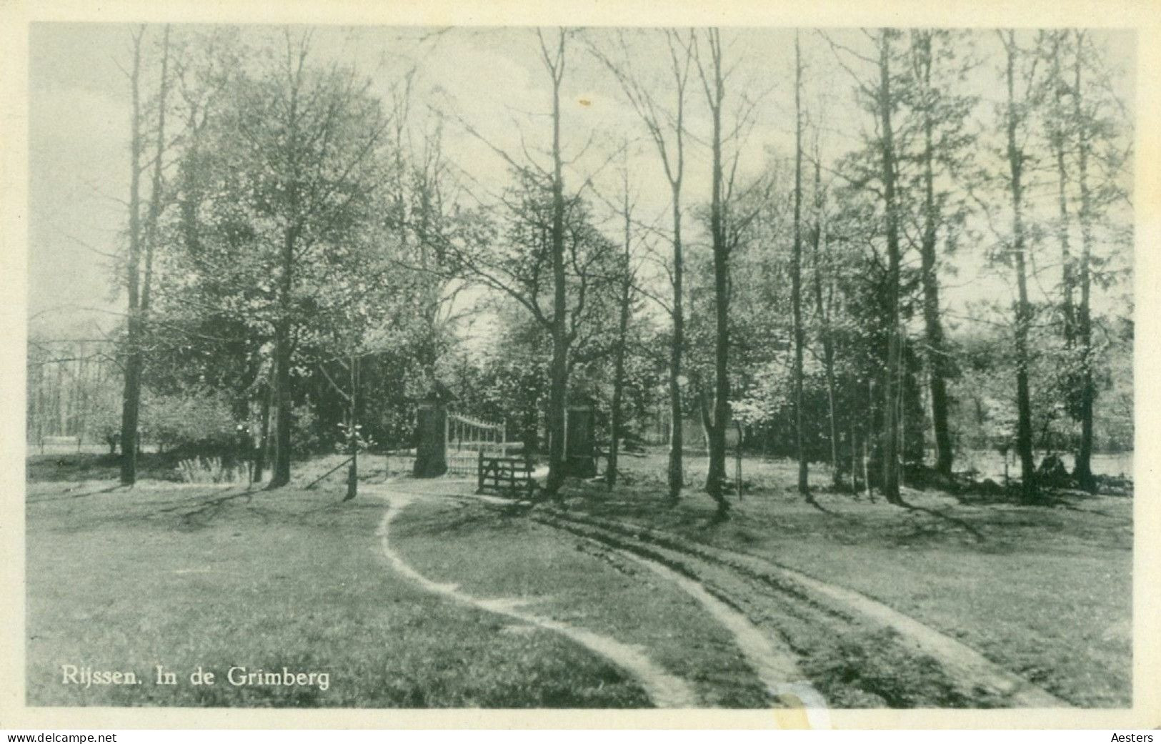 Rijssen; In De Grimberg - Niet Gelopen. (J.C. Nieuwenhuis - Rijssen) - Rijssen