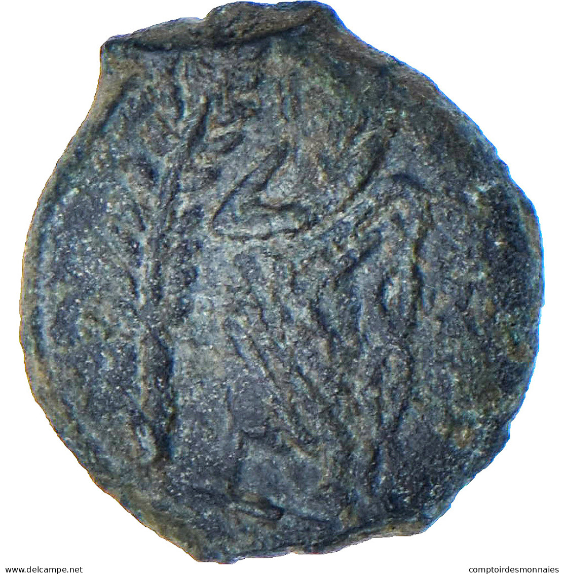 Monnaie, Volques Arécomiques, Bronze Æ, 70-30 Ou 49-42 AC, TTB, Bronze - Celtic