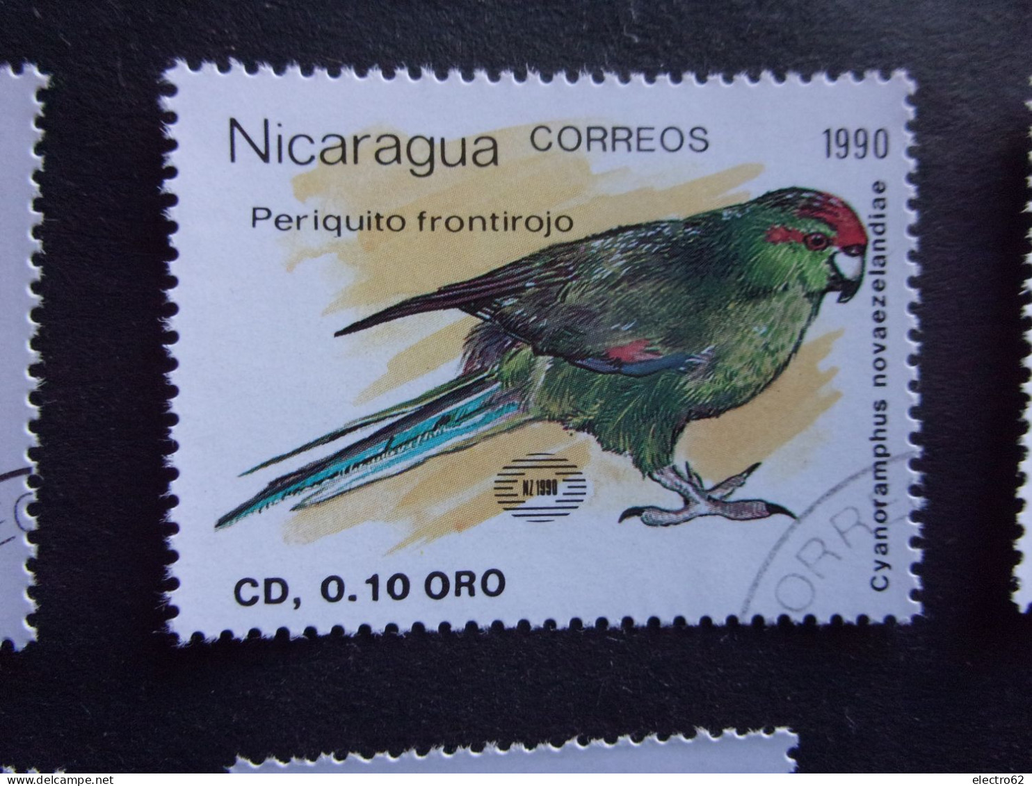 Nicaragua Oiseau Exposition Philatélique Nouvelle-Zélande 90 Bird Vogel Oiseaux Uccello Pájaro Ptak Kuba Fugler Vögel - Kiwi's