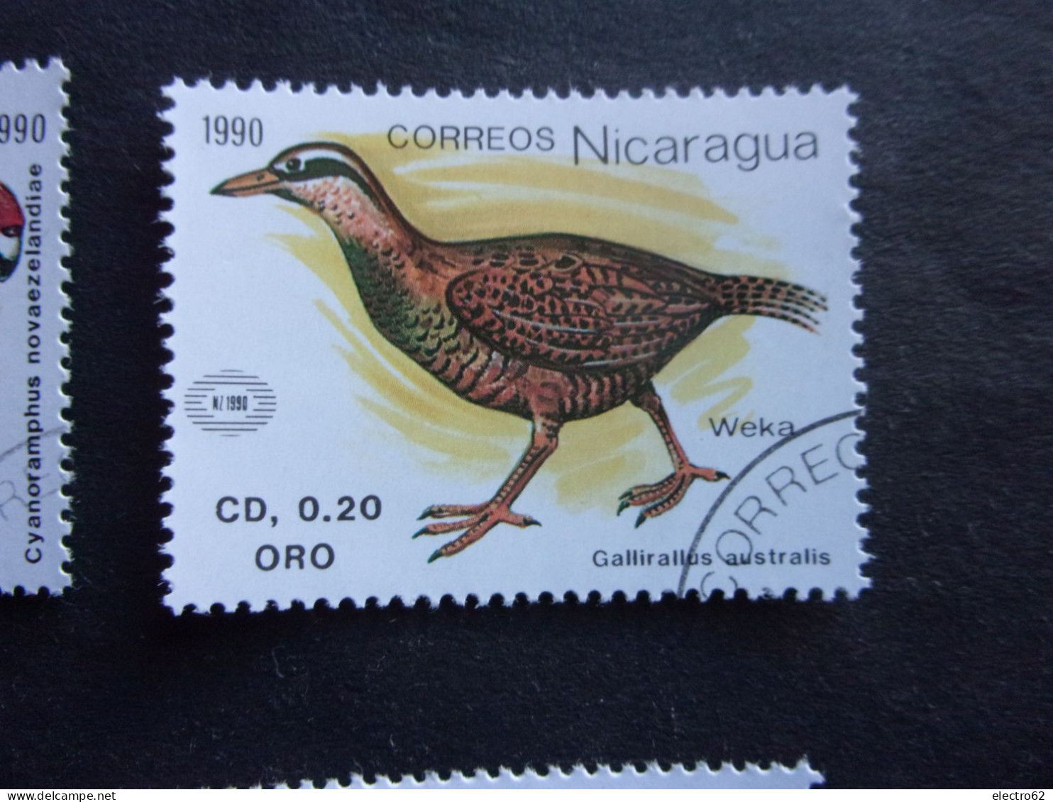 Nicaragua Oiseau Exposition Philatélique Nouvelle-Zélande 90 Bird Vogel Oiseaux Uccello Pájaro Ptak Kuba Fugler Vögel - Kiwis